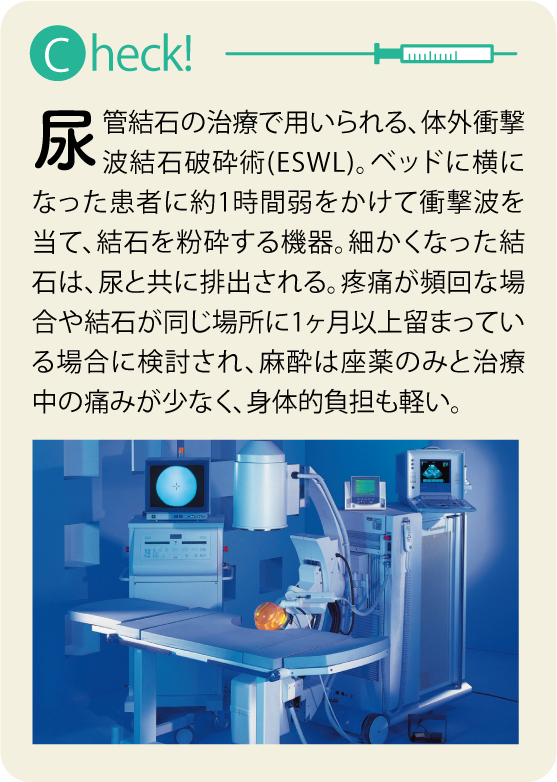 kawanoアセット 5