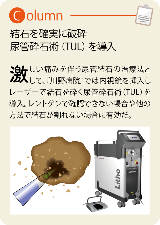 kawanoアセット 7