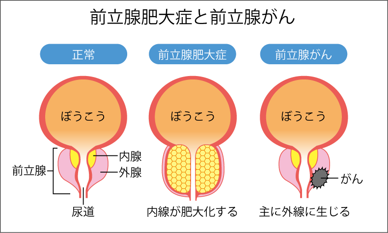 case8_kuma-sogoアセット 4