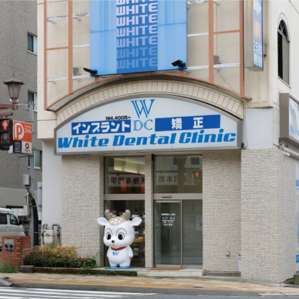 white-shikaアセット 1